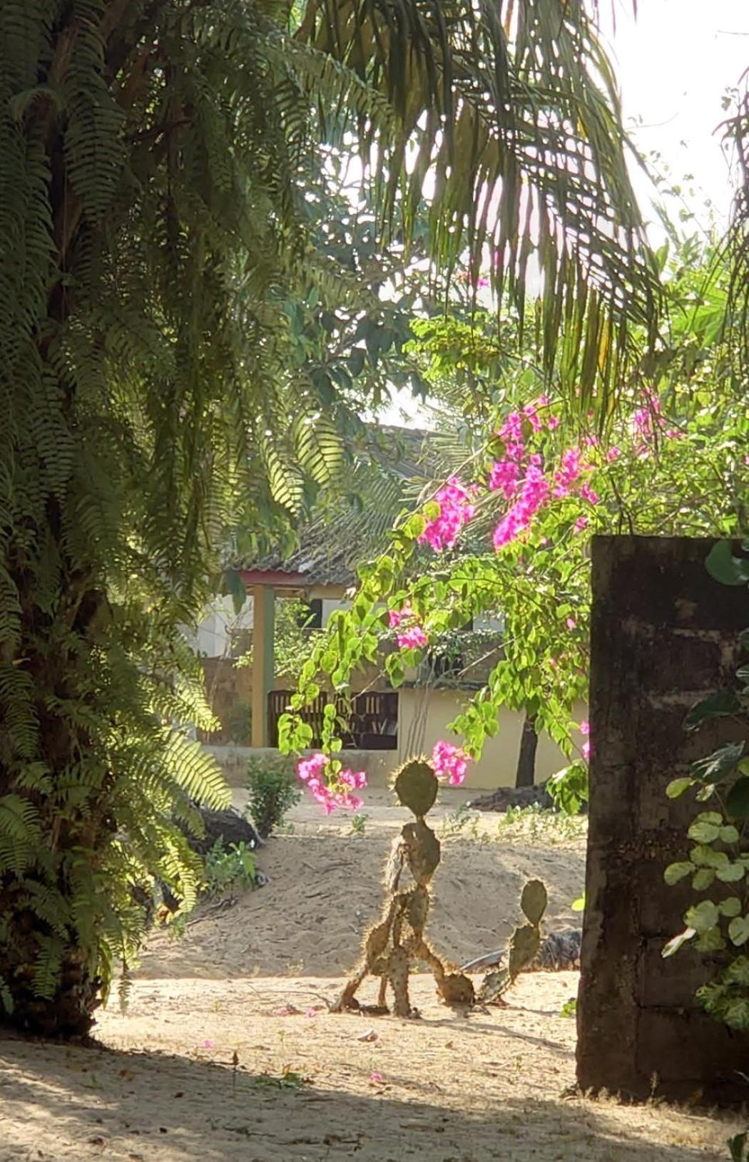 Rundbungalow Auf Lionsrest Grand-Bassam Esterno foto