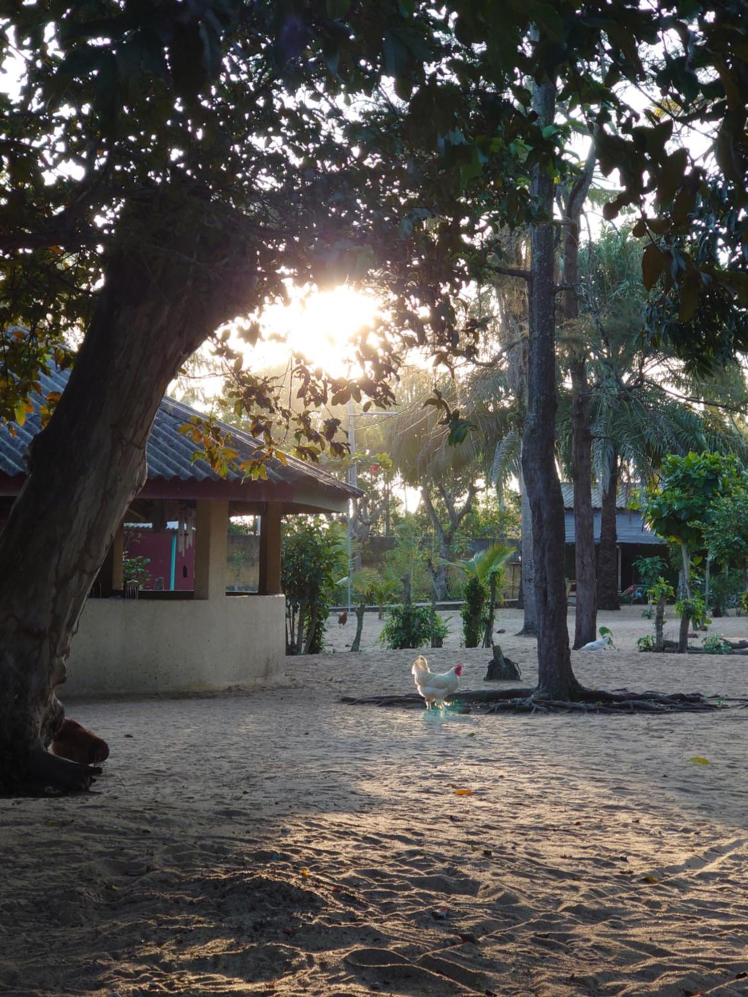 Rundbungalow Auf Lionsrest Grand-Bassam Esterno foto